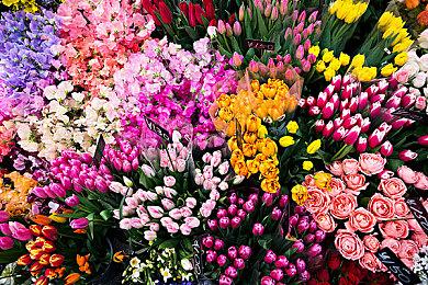 《电锯糖心》和中国台湾公司达成合作 将开发多个新作